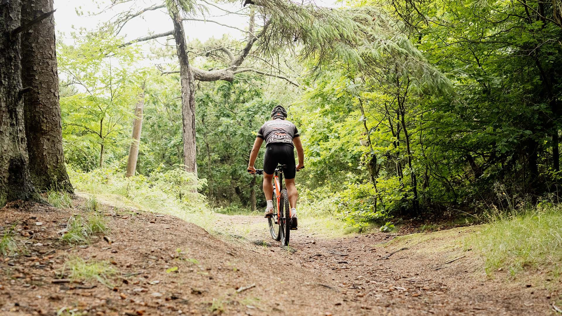 Mand cykler i skoven, hvor ulykkesforsikringen dækker ved cykelstyrt. 